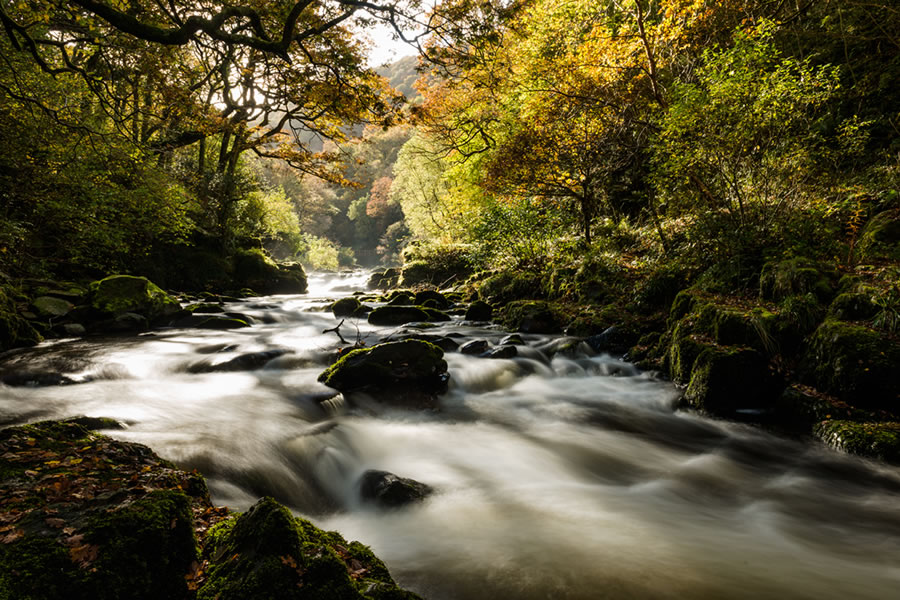 Stream on Exmoor